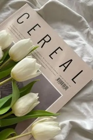 ปกนิยาย รักนี้ฉันต้องใจอ่อน