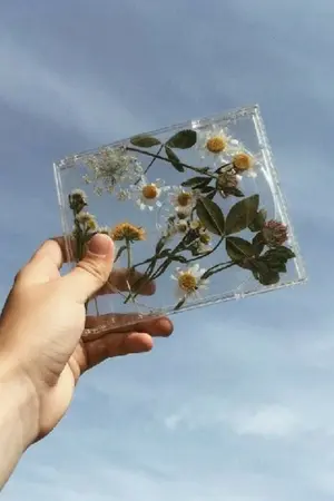 ปกนิยาย ช่างเเม่ง∆