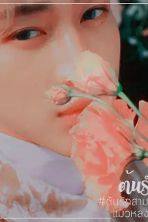 ปกนิยาย ต้นรัก {MarkBam} #ต้นรักสามระยะมบ