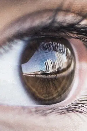 ปกนิยาย เพลิงสะใภ้