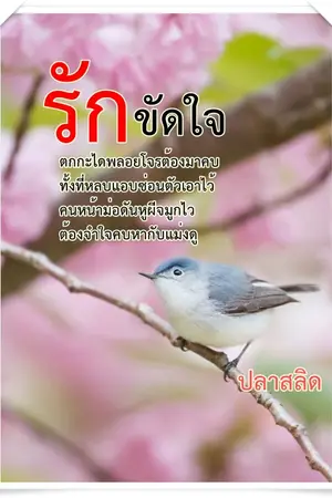 ปกนิยาย รักขัดใจ