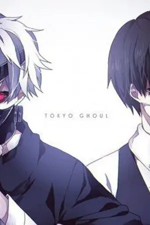 ปกนิยาย Aiden