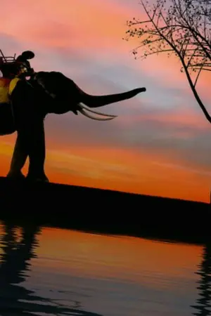 ปกนิยาย [Countryhumans] twisted