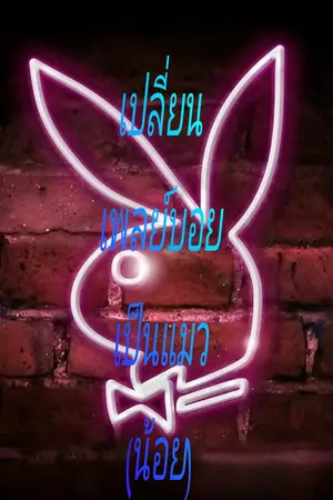 ปกนิยาย เปลี่ยนเพลย์บอยเป็นเเมวน้อย