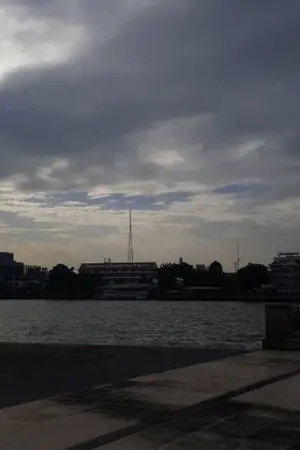 ปกนิยาย เป็ด - Jack of all trades