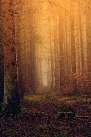 ปกนิยาย ธุลีแห่งหมื่นโลก