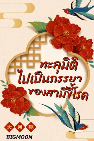 ปกนิยาย ทะลุมิติไปเป็นภรรยาของสามีขี้โรค(มี E-Book)