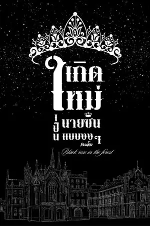 ปกนิยาย เกิดใหม่เป็นนายซินแบบงงๆ (รีไรท์)