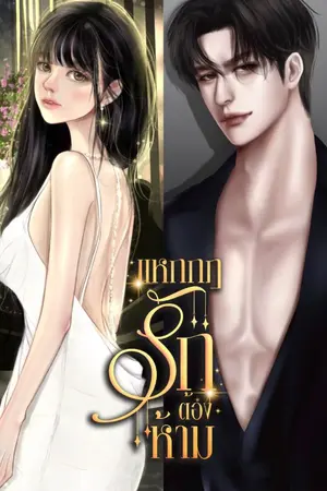 ปกนิยาย แหกกฏรักต้องห้าม