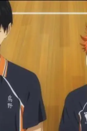 ปกนิยาย เจ้าชายสนามผู้(ไม่)โดดเดียว[Haikyuu][Kagehina]