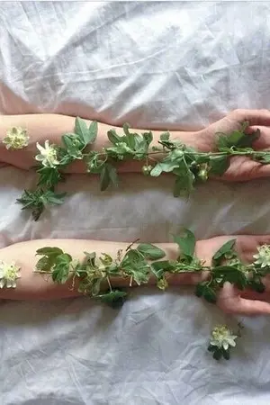 ปกนิยาย From another star [Draco X OC]