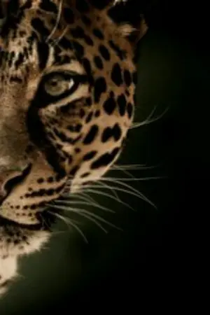 ปกนิยาย Demon fola