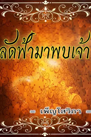 ปกนิยาย ลัดฟ้ามาพบเจ้า