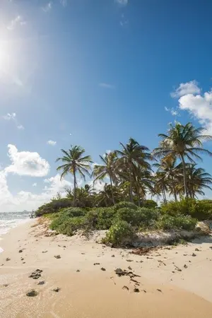 ปกนิยาย เกาะร้างสร้างรัก END