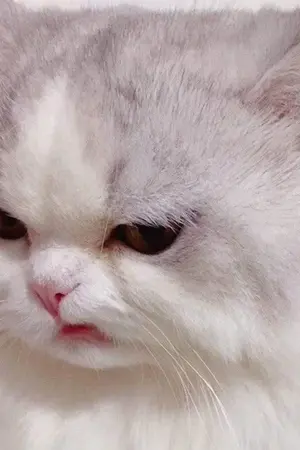 ปกนิยาย ทาสครับ รักผมหน่อย