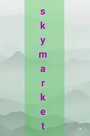 ปกนิยาย ร้านสกายขายทุกอย่าง?