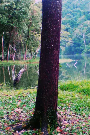 ปกนิยาย ภารกิจ สวย ใส พิชิตใจ เธอ