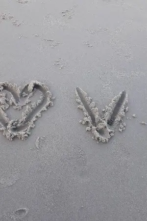 ปกนิยาย นิยาย ความรักจากฉันเอง