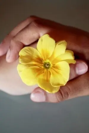 ปกนิยาย รักต้องห้าม