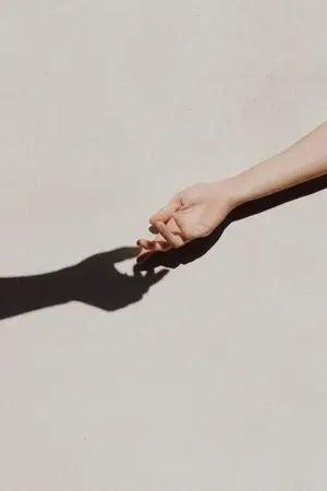 ปกนิยาย เพียงเงาพระจันทร์