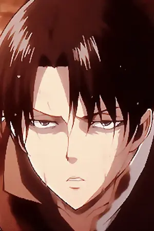 ปกนิยาย Attack on Titan | Snowman | (levi x oc)