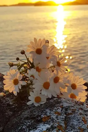 ปกนิยาย I Just Wanna [NCT X YOU]