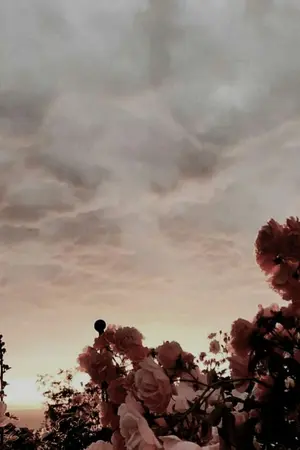 ปกนิยาย Just stay NoMin