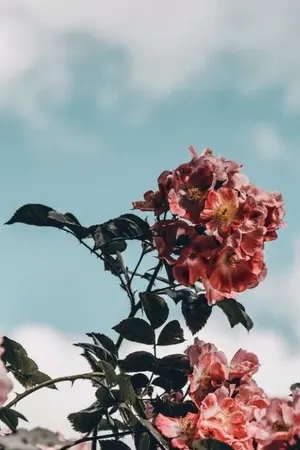 ปกนิยาย Fantasy [NCT X YOU]