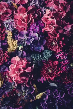 ปกนิยาย OS/SF FOR YOU [NCT X YOU]