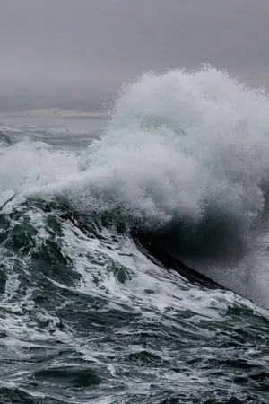 ปกนิยาย My mind [NCT X YOU]