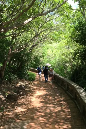 ปกนิยาย ประโยคจากความรู้สึก