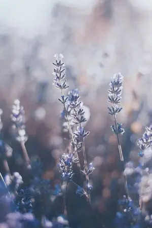 ปกนิยาย Treat your heart (yoonmin)