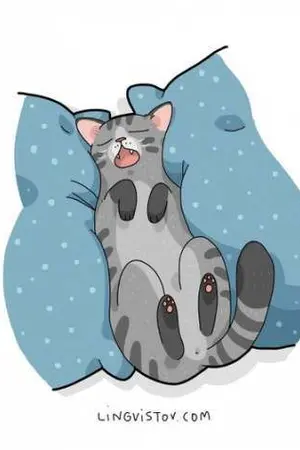 ปกนิยาย bts ▪️〰️▪️ about meow - (yoonmin)