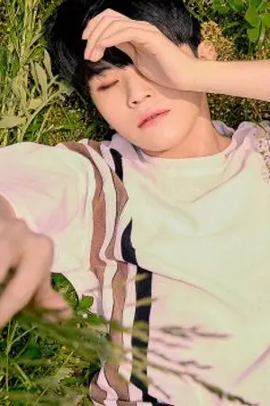 ปกนิยาย ก่อนแสงจันทร์จะเลือนหาย