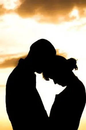 ปกนิยาย ปลายฝัน