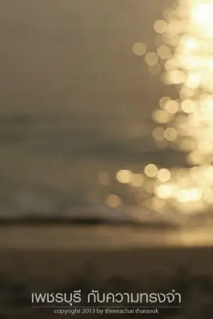 ปกนิยาย ความทรงจำสีจาง