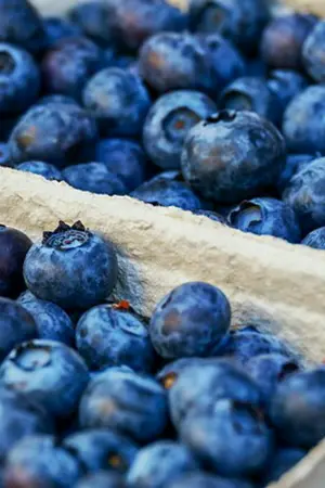 ปกนิยาย sf/of | Lumin short time | #ลมสัน