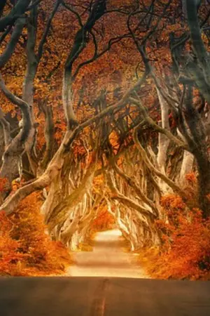 ปกนิยาย ...&@ บาป @&...