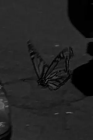 ปกนิยาย OF/SF MarkBam