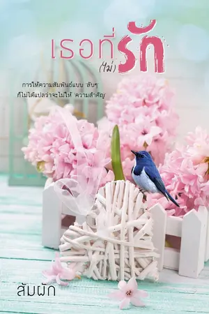 ปกนิยาย เธอที่(ไม่)รัก