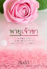 ปกนิยาย พายุเจ้าขา