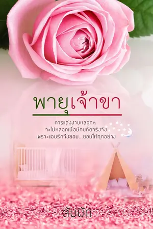 ปกนิยาย