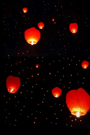 ปกนิยาย ชีวิตนี้ ข้าขอลิขิตเอง