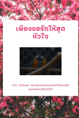 ปกนิยาย เพียงขอรักให้สุดหัวใจ