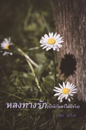 ปกนิยาย หลงทางรัก ( รักนิรันดร์ไม่มีจริง )