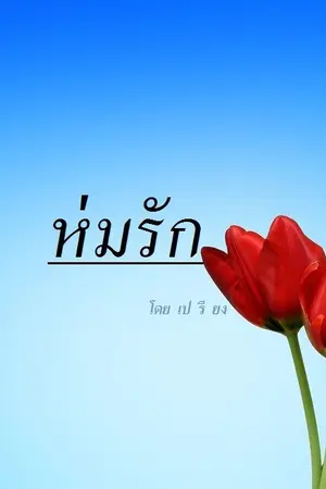 ปกนิยาย