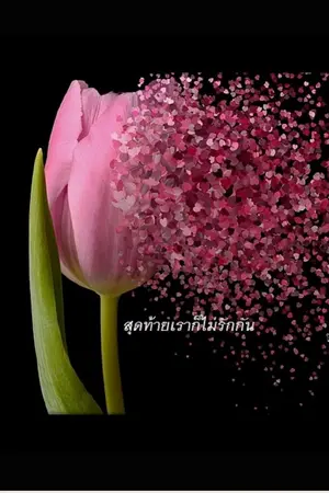 ปกนิยาย