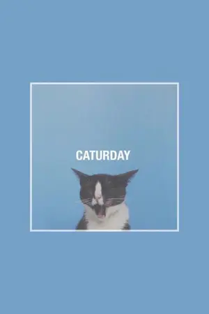 ปกนิยาย CATURDAY's | เตนิว