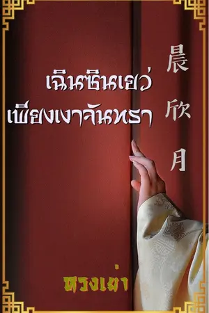 ปกนิยาย