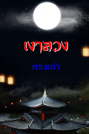 ปกนิยาย เงาลวง 黑灵